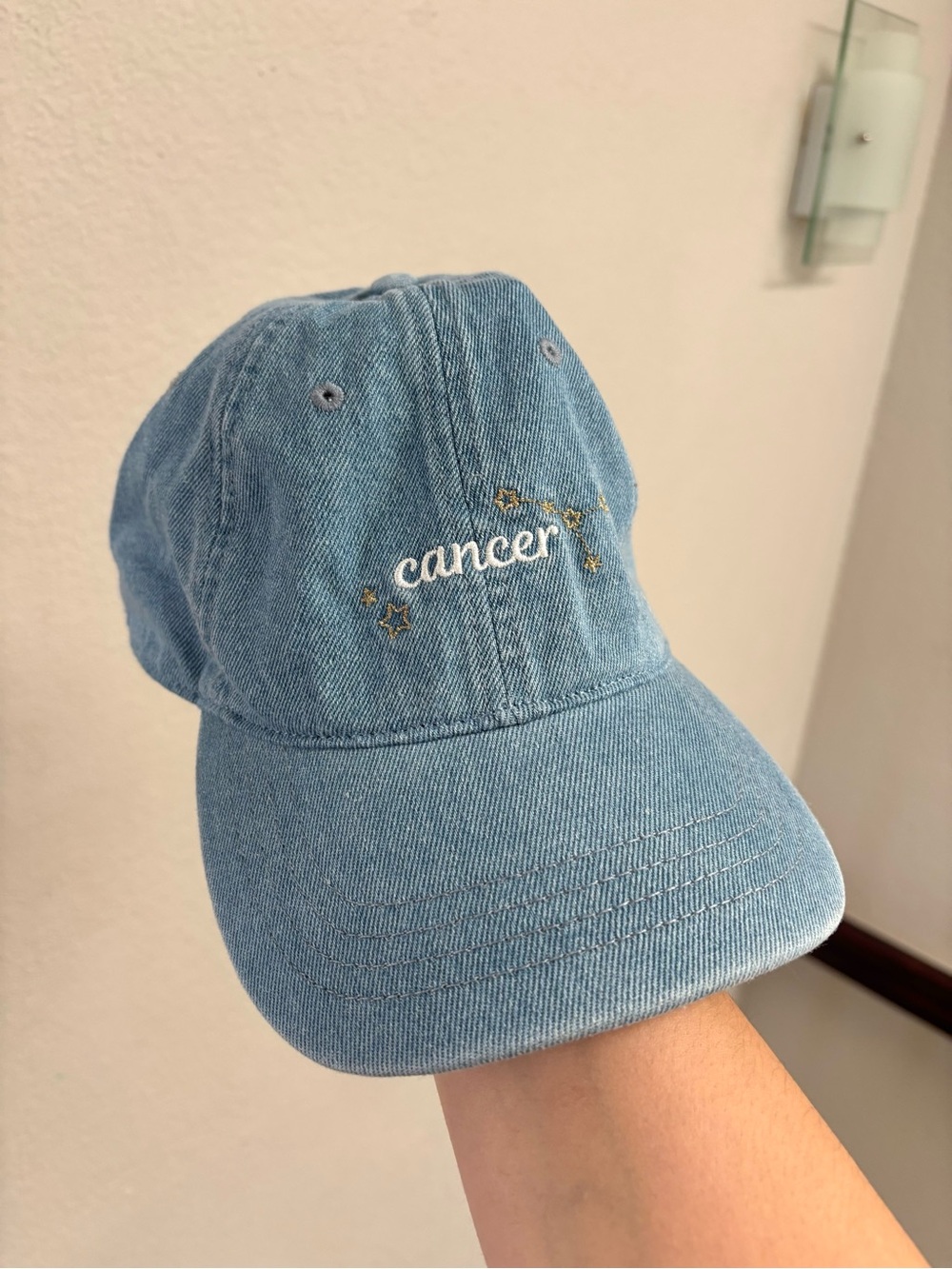 American Eagle / NWT Zodiac Dad Hat Cancer